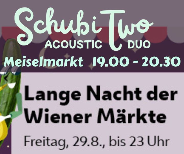 House concert: intimate living room show with a seated audience and acoustic duo.