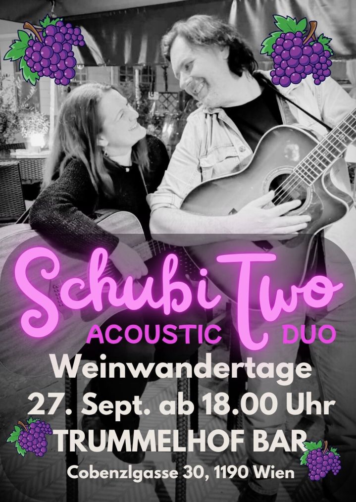 Outdoor summer festival: acoustic duo on a small stage, festive bunting, daylight.